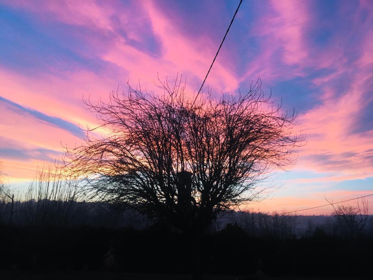 B&B Cascina Martinetta Cantarana Exteriör bild